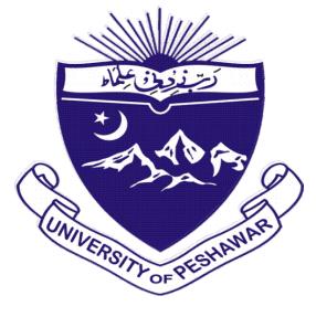 Peshawar University Student Survey to Assess Internet