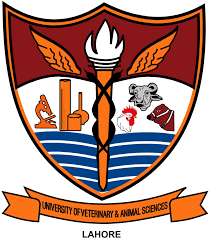 UVAS Business School BBA MBA MPhil Admissions 2020