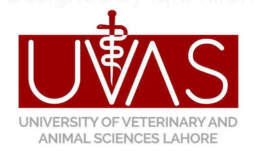 UVAS Business School BBA MBA Admission 2020