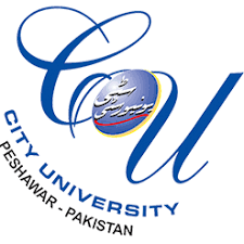 City University (CUSIT) MS Admission 2020