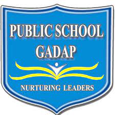 Public School Gadap Scholarship 2020
