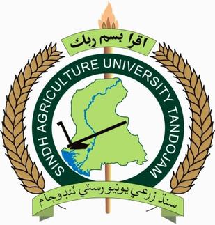 Sindh Agriculture University BS BSc Admissions 2020
