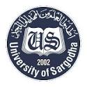 UoS Bachelors & Masters 3rd Term Exams Schedule 2022