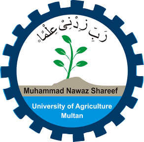 MNS University of Agriculture MSc Hons Admissions 2023