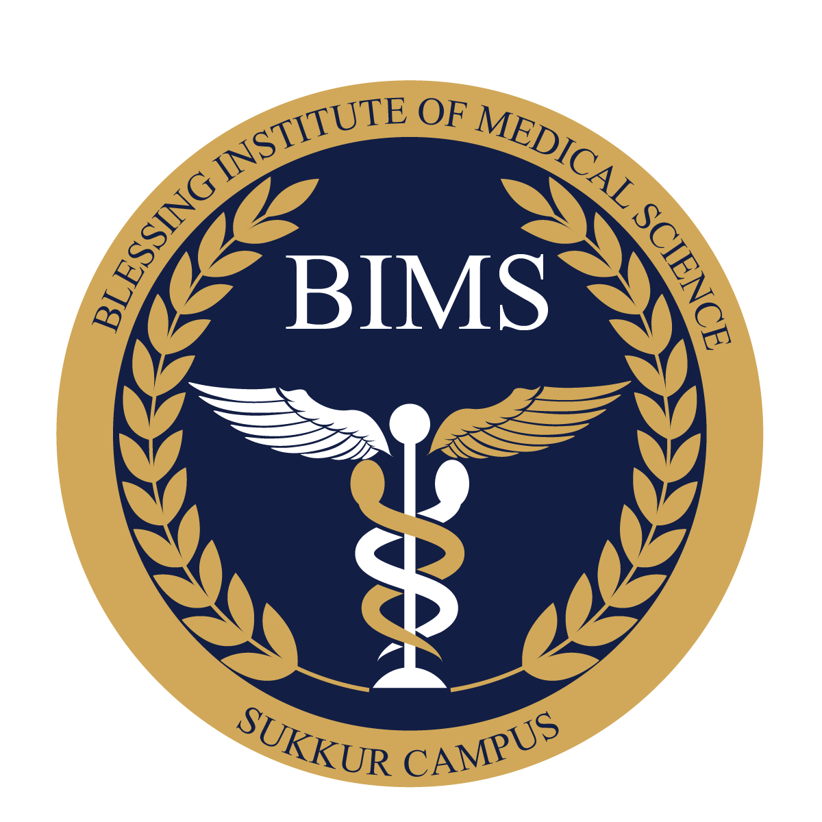 Blessing Institute of Medical Sciences Admission 2023