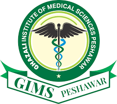 Gazali Insitute of Medical Science Admission 2023