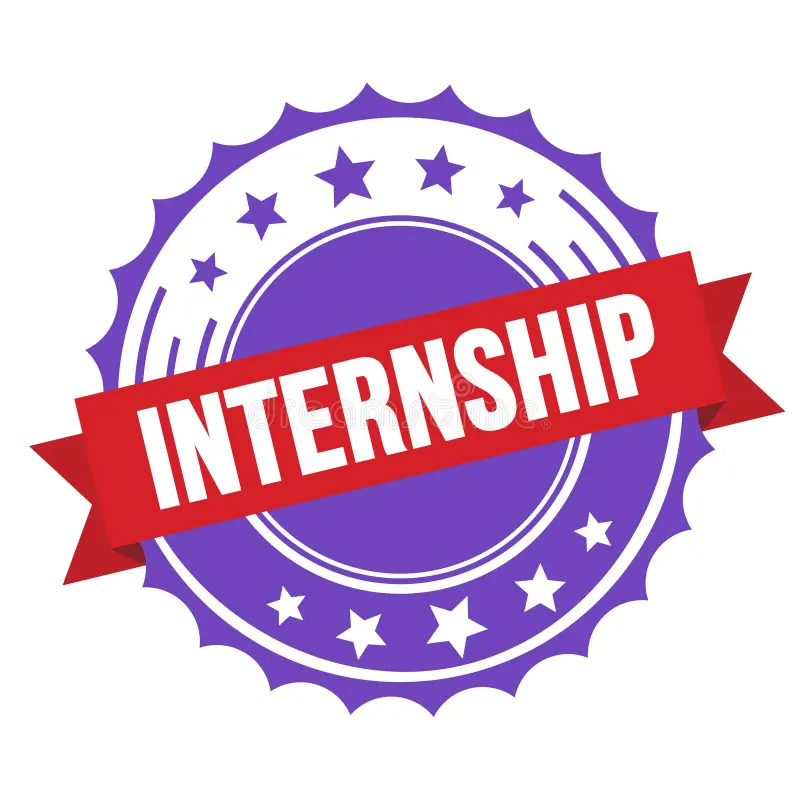 Sindh Paid Internships Empowering University Students