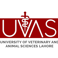 UVAS BS DVM Admission 2023