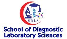 LN SDLS BSMT Admission 2024
