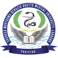 SMBBMU DPT 1st Sem Regular Exams Result 2024