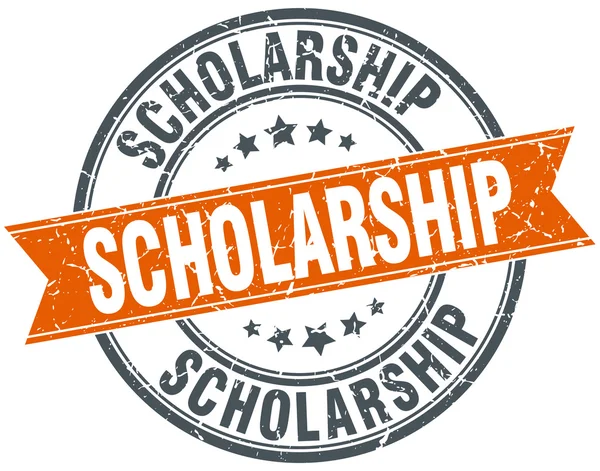 University of Pavia Scholarships 2024