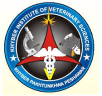 Khyber Institute of Veterinary Sciences Admission Open 2024