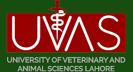 UVAS DVM Semester I Final Term Exams Schedule 2024
