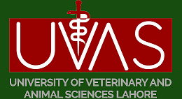 UVAS Undergraduate Final Term Exams Date Sheet 2024