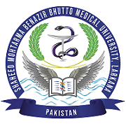 SMBBMU MBBS Final Exams 2018 2019 Results 2024
