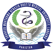 SMBBMU Postgraduate Exams fee form Schedule 2024