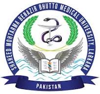 SMBBMU Pharm D Final Annual Examination Result 2024