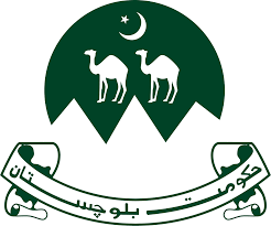 2024-08/29190_1_78984.png
